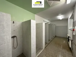 Pronájem výrobních prostor, Litvínov - Záluží, 7684 m2