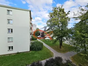Pronájem bytu 3+1, Valašské Meziříčí, Křižná, 60 m2