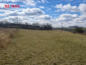 Prodej pole, Číčovice, 6121 m2