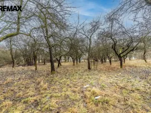 Prodej rodinného domu, Vítězná - Kocléřov, 350 m2