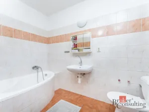 Prodej rodinného domu, Nechanice - Staré Nechanice, 180 m2