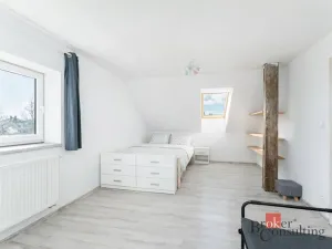 Prodej rodinného domu, Nechanice - Staré Nechanice, 180 m2