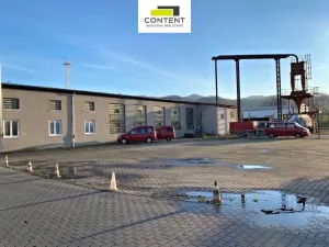 Pronájem skladu, Žalany, Kostomlatská, 456 m2