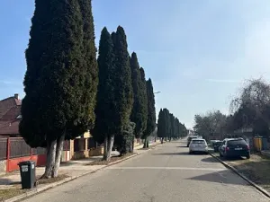 Prodej rodinného domu, Chlumec nad Cidlinou, Rooseveltova, 146 m2