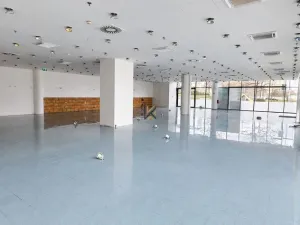 Pronájem obchodního prostoru, Praha, Siemensova, 206 m2
