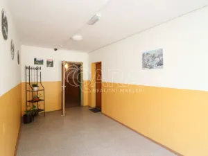 Pronájem bytu 1+kk, Praha, Šimůnkova, 33 m2