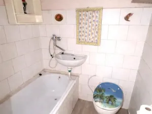 Pronájem bytu 1+1, Most, Josefa Dobrovského, 28 m2