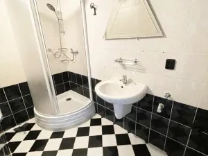 Prodej bytu 2+1, Litvínov - Horní Litvínov, Vinohradská, 55 m2