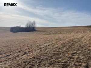 Prodej louky, Nový Hrádek, 18276 m2