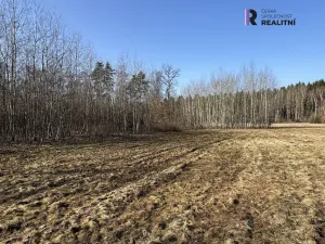 Prodej louky, Nová Role - Mezirolí, 5750 m2