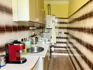 Prodej vícegeneračního domu, Ostrava - Mariánské Hory, Štítného, 321 m2