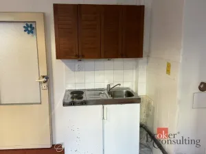 Pronájem bytu 1+kk, Praha - Střešovice, Farní, 19 m2