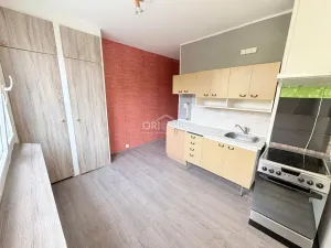 Prodej bytu 2+1, Chomutov, Holešická, 61 m2