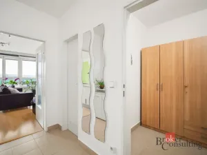 Prodej bytu 1+kk, Praha - Michle, Novobohdalecká, 42 m2