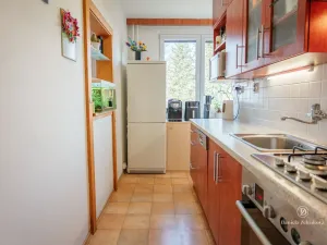 Pronájem bytu 3+1, České Budějovice - České Budějovice 3, Plzeňská, 64 m2