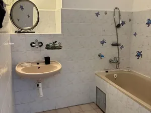 Pronájem bytu 1+1, Žabeň, 42 m2