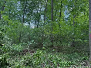 Prodej lesa, Hradčovice, 4762 m2