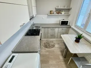 Prodej bytu 2+1, Lovosice, Palackého, 65 m2