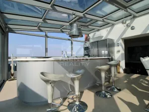 Pronájem bytu 3+kk, Plzeň, Goldscheiderova, 250 m2