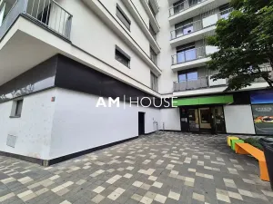 Pronájem bytu 1+kk, Praha - Malešice, Nad úžlabinou, 38 m2