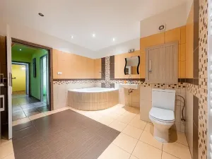 Prodej bytu 2+1, Pardubice, Palackého třída, 71 m2