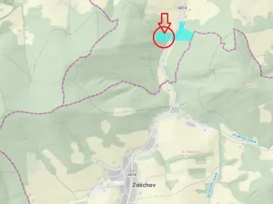 Prodej lesa, Huslenky, 16650 m2