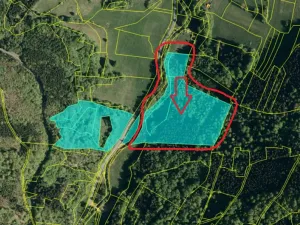 Prodej lesa, Huslenky, 29988 m2