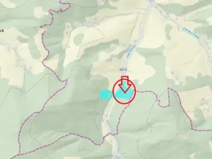 Prodej lesa, Huslenky, 29988 m2