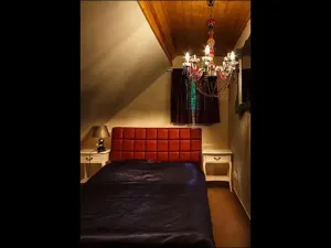 Prodej - jiné, Josefův Důl, 220 m2