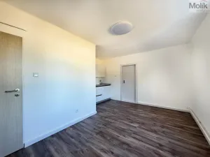 Prodej bytu 2+kk, Osek, Smetanova, 35 m2