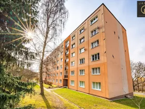 Prodej bytu 2+1, Plzeň - Doubravka, Ke Špitálskému lesu, 58 m2