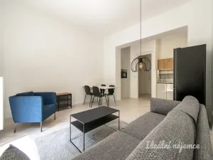 Pronájem bytu 2+kk, Praha - Vinohrady, Mánesova, 63 m2