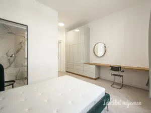 Pronájem bytu 2+kk, Praha - Vinohrady, Mánesova, 63 m2