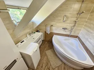 Prodej vícegeneračního domu, Brno - Černovice, Vinohradská, 350 m2