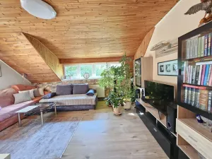 Prodej vícegeneračního domu, Brno - Černovice, Vinohradská, 350 m2