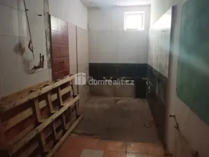 Prodej výrobních prostor, Děčín - Děčín VI-Letná, Dělnická, 1300 m2