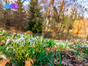 Prodej pozemku pro bydlení, Sedlnice, 970 m2