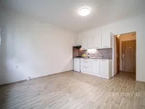 Pronájem bytu 1+kk, České Budějovice - České Budějovice 3, Plzeňská, 21 m2