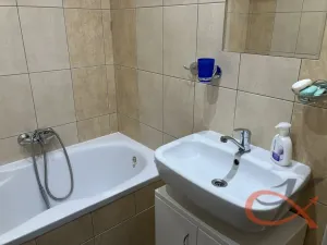 Pronájem bytu 1+1, Prostějov, Družstevní, 39 m2