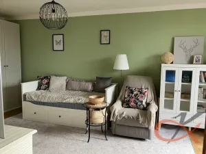 Pronájem bytu 1+1, Prostějov, Družstevní, 39 m2