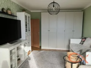 Pronájem bytu 1+1, Prostějov, Družstevní, 39 m2