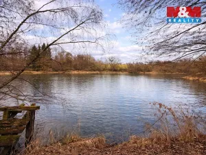 Prodej louky, Křečovice - Vlkonice, 68525 m2