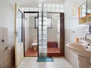 Prodej rodinného domu, Velké Žernoseky, 5026 m2