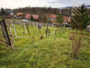 Prodej rodinného domu, Velké Žernoseky, 5026 m2