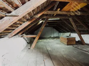 Prodej rodinného domu, Velké Žernoseky, 5026 m2