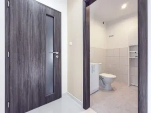 Pronájem rodinného domu, Březno, Pod Lesem, 120 m2