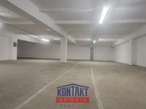 Pronájem skladu, České Budějovice, Rudolfovská tř., 198 m2