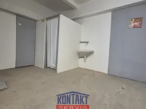 Pronájem skladu, České Budějovice, Rudolfovská tř., 198 m2