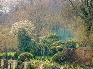 Pronájem bytu 2+kk, Praha - Michle, Nuselská, 56 m2