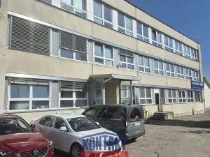 Pronájem kanceláře, České Budějovice, Rudolfovská tř., 225 m2